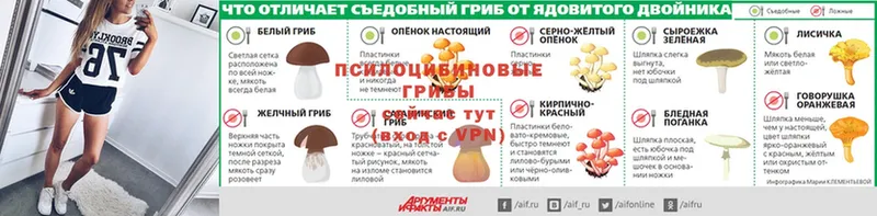 Галлюциногенные грибы мицелий  Саров 